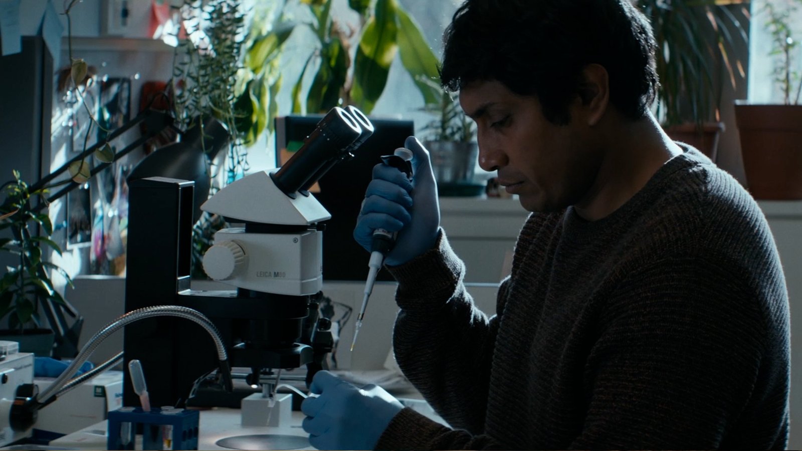 hijo de monarcas8548053220416486309..jpg