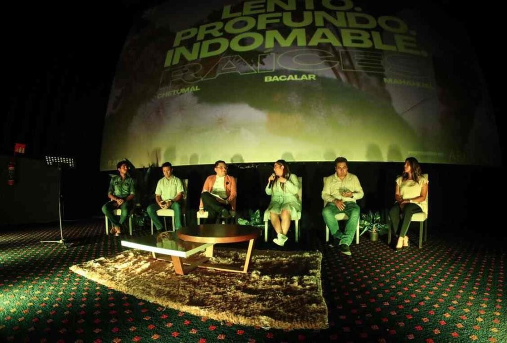 unnamed (3)-compressed