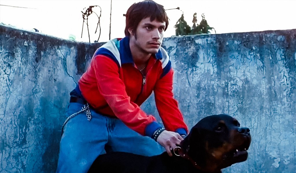 portada-np-amores-perros-en-29-fcl-pucp