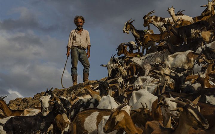 la-sombra-del-catire01