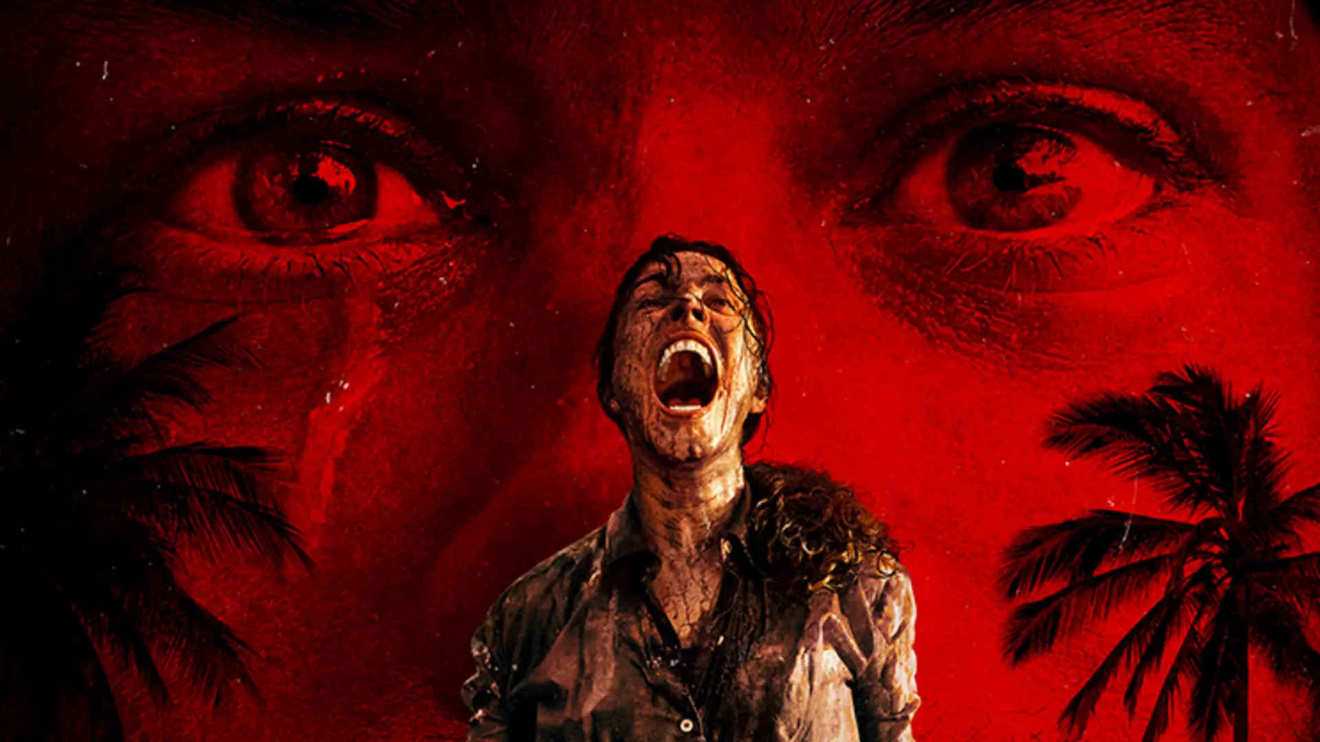 696a595e4db6e2-89752024