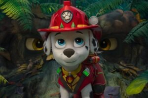 paw-patrol